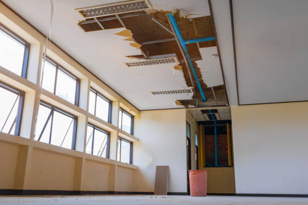 Best 24/7 water damage repair  in Dundee, FL