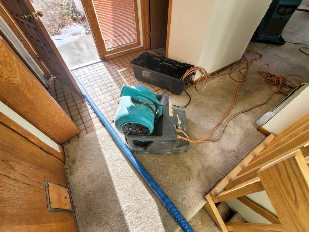 Best Commercial water damage restoration  in Dundee, FL