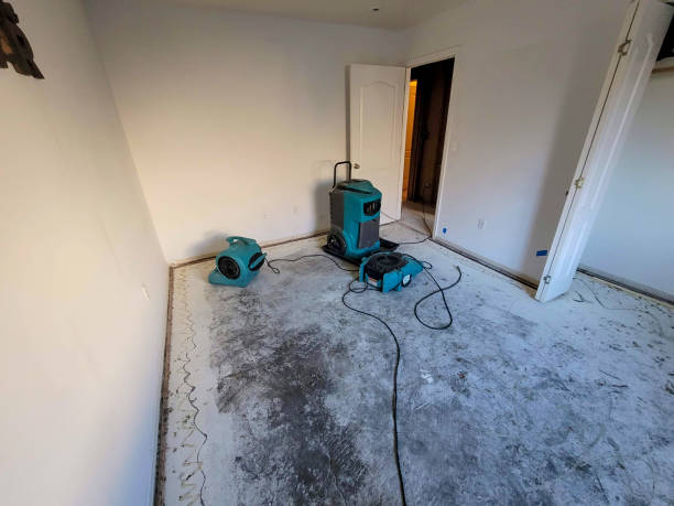 Best Water damage contractors near me  in Dundee, FL