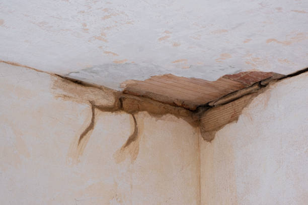 Best Emergency water damage restoration  in Dundee, FL