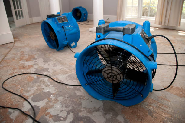 Best Water damage cleanup near me  in Dundee, FL