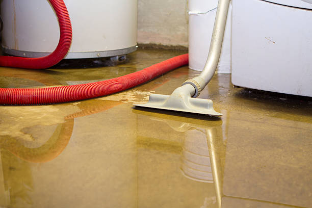 Best 24-hour water damage restoration  in Dundee, FL